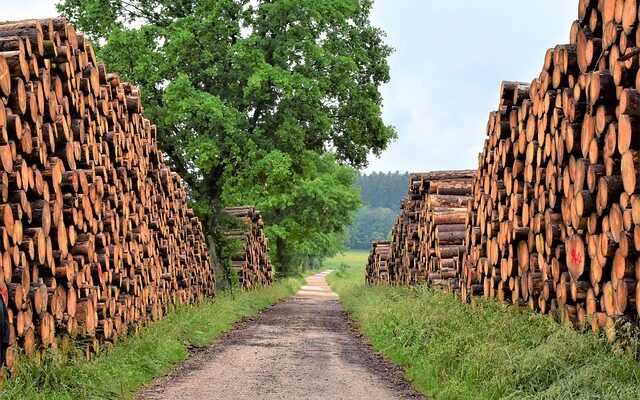 Ogrzewanie domu – zrozum techniki i materiały budowlane dla efektywnego systemu grzewczego.