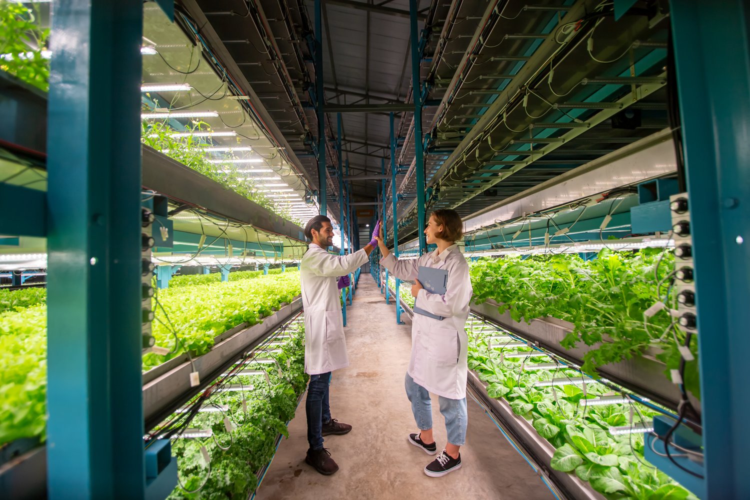 Vertical farming w budynkach mieszkalnych – Przyszłość miejskiego ogrodnictwa