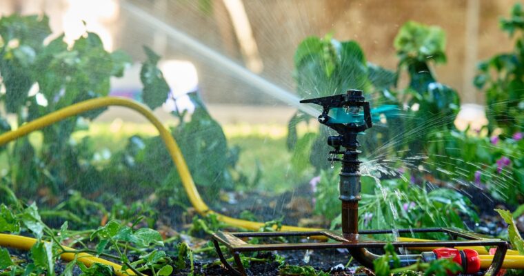 Jak efektywnie nawadniać ogród i dbać o system hydroforowy