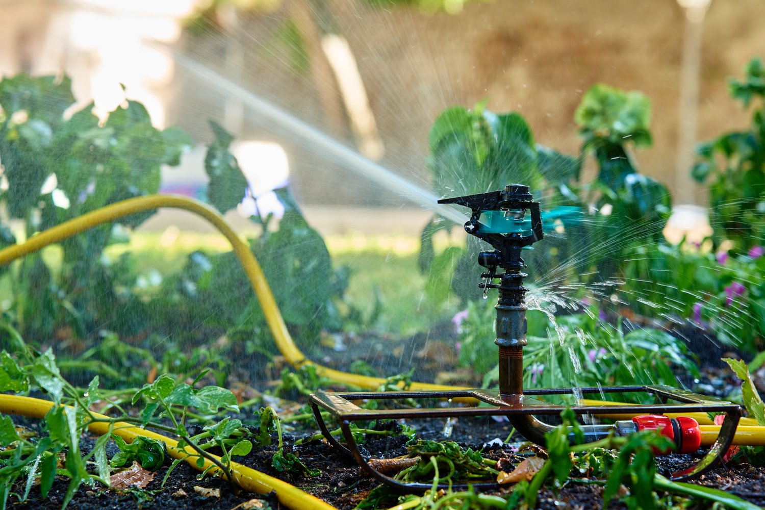 Jak efektywnie nawadniać ogród i dbać o system hydroforowy