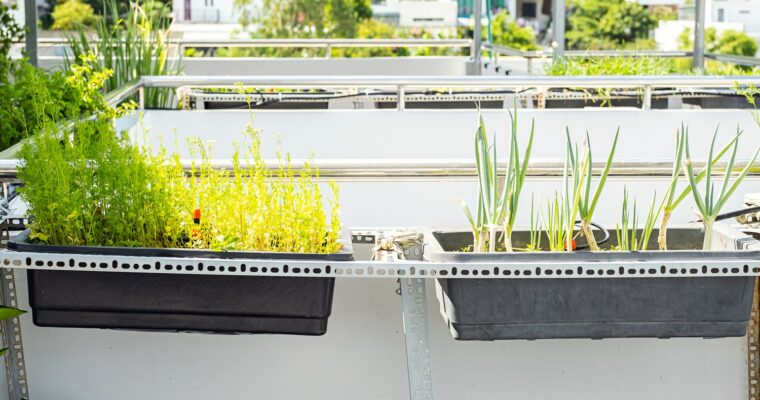 Inteligentne systemy nawadniania balkonów i tarasów sterowane pogodą