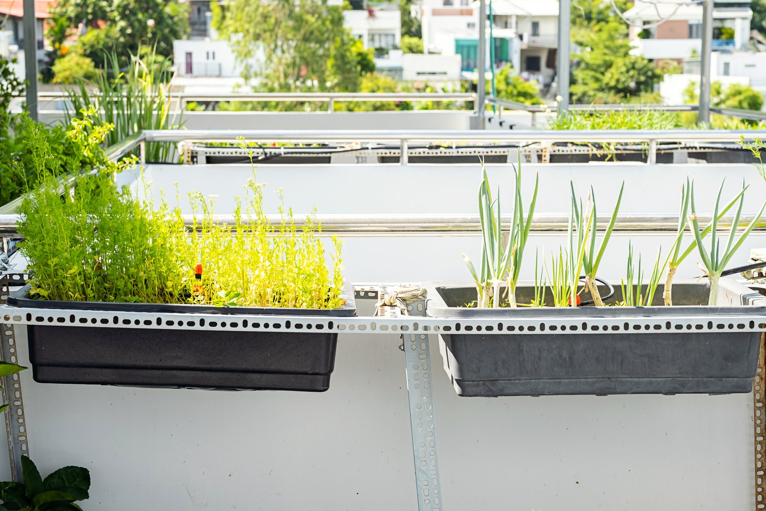 Inteligentne systemy nawadniania balkonów i tarasów sterowane pogodą